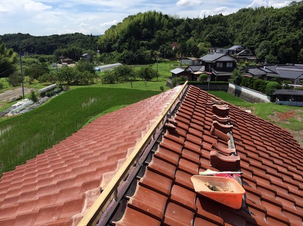 20160705082621.jpg