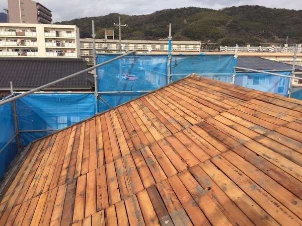 20170118101637.jpg