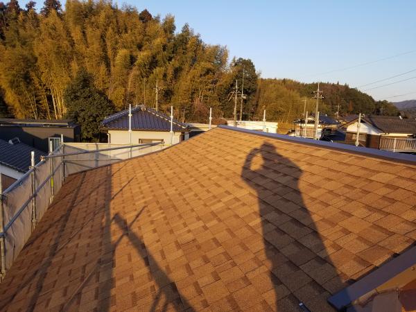 20180206_170934.jpg