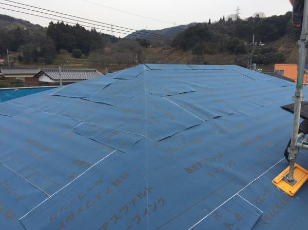 20180221170334.jpg