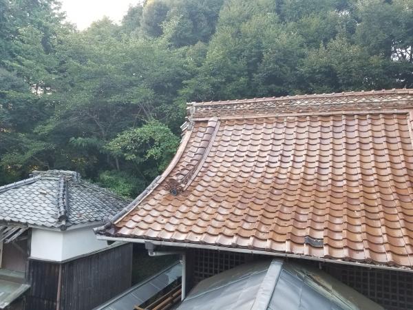 2018-08-17 17.57.56.jpg