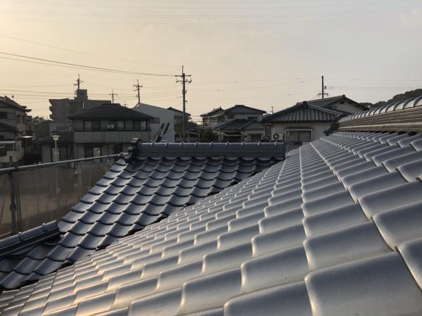 20190304131413.jpg