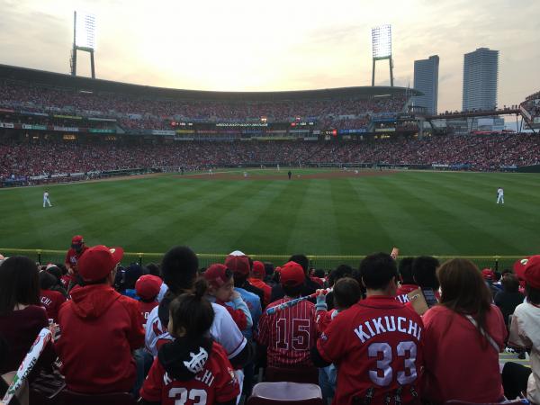 IMG_8028[1].JPG