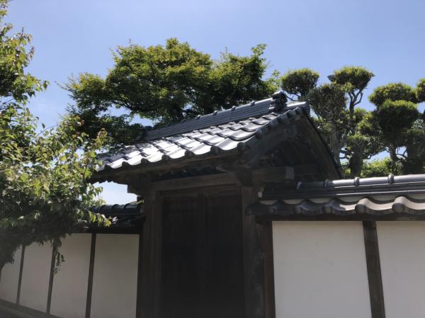 20190603135310.jpg