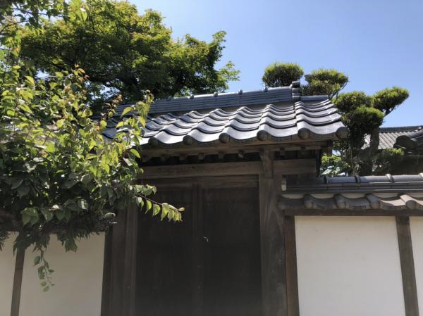 20190603135315.jpg