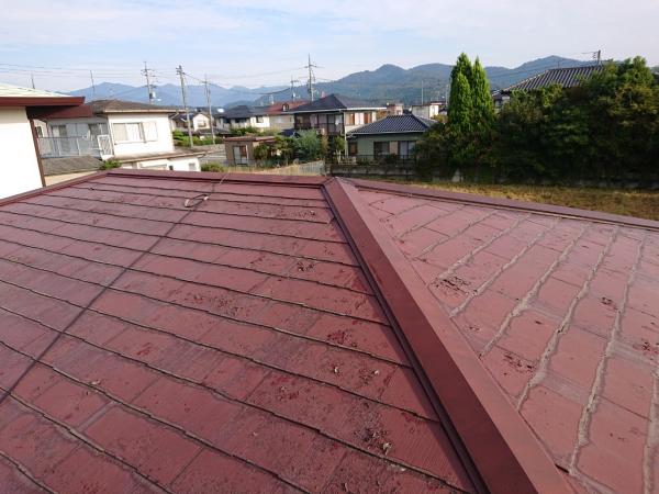 line_6506083454599.jpg