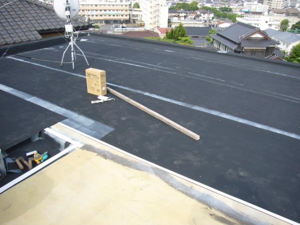 P1010256.JPG