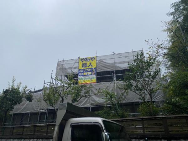 81486.jpg