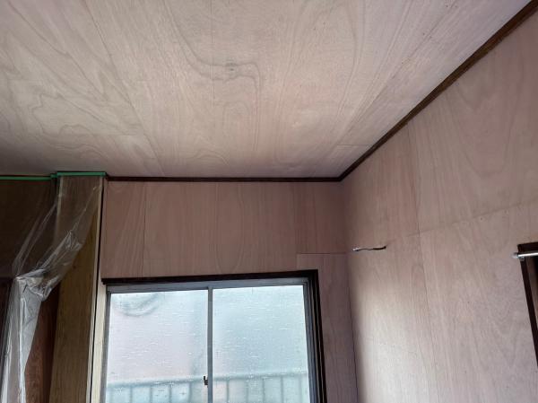 スレート屋根カバー工事_221215_136.jpg